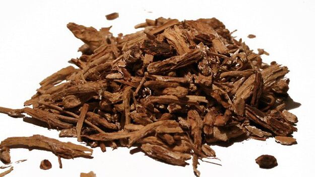 Tsikoria στο Magicoa